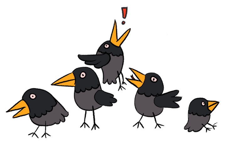 A sketch depicting five black and grey corvids with yellow beaks.